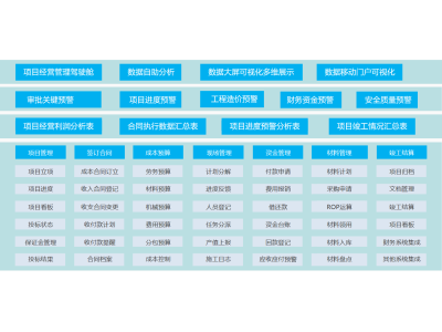 项目管理系统定制